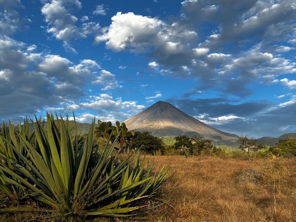 Mezcal de los cerros de Colima, el secreto mejor guardado del estado ...